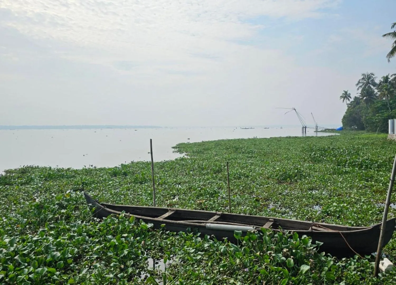 Lake Facing Villa-Water Sport Activities-Niva Waterways Vaikom